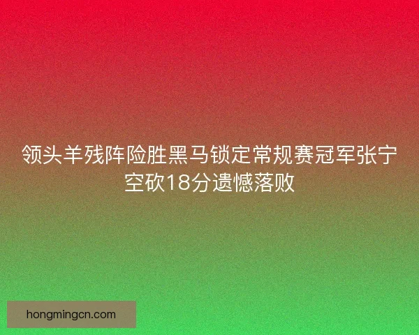 领头羊残阵险胜黑马锁定常规赛冠军张宁空砍18分遗憾落败 领头羊残阵险胜黑马锁定常规赛冠军张宁空砍18分遗憾落败